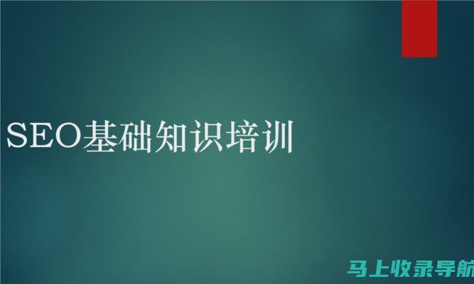 SEO新手入门指南：自学书籍中的关键词选择与优化教程